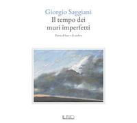 Il tempo dei muri imperfetti. Poesie di luce e di ombra
