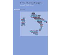 Libri Terzo Settore Nel Mezzogiorno (Il)