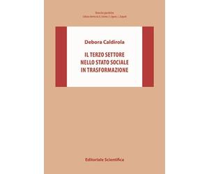 Il Terzo settore nello Stato sociale in trasformazione
