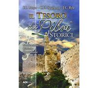 Il tesoro dei libri storici. Meditazioni bibliche quotidiane