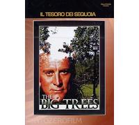 Il Tesoro Dei Sequoia