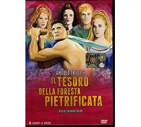 Il Tesoro Della Foresta Pietrificata [EDITORIALE HOBBY & WORK]