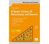 Il testo unico di sicurezza sul lavoro. Con espansione online