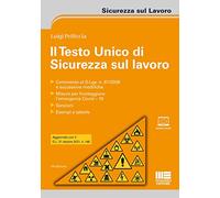 Il testo unico di sicurezza sul lavoro. Con espansione online