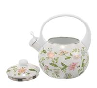il tetto dell'acqua, Contenitore for tè, brocca for bollitore da caffè con manico, bollitore portatile for fornello, teiera, uso domestico, ufficio