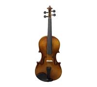 Il Tiglio Del Violino Rende Popolare I Principianti Del Violino Per Esercitarsi Con Gli Strumenti Del Violino E Viene Fornito Con Una Custodia Per Pianoforte A Coda (Color : 1/2)