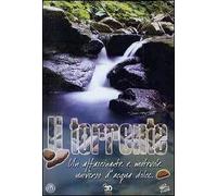 Il torrente