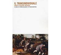 Il transindividuale. Soggetti, relazioni, mutazioni