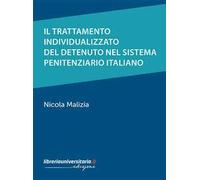 Il trattamento individualizzato del detenuto nel sistema penitenziario italiano