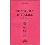 Il triangolo instabile - Tsuda Itsuo