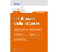 Il tribunale delle imprese