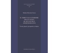 Il tribunale superiore delle acque quale giudice amministrativo. Teoria, prassi e prospettive evolutive
