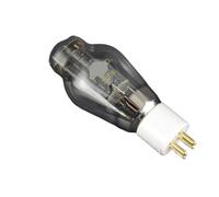 Il tubo 300B sostituisce WE300B/300B/300B(ONE PAIR)