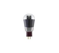 Il tubo 300B sostituisce WE300B 300BN 300BT 4300B 7300B 300A Amplificatore audio HIFI a valvole(2 pcs)