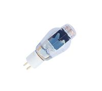 Il tubo a vuoto 2A3C 2A3 sostituisce il tubo audio HIFI 2A3B E-2A3 2A3-T 2A3-TII WE2A3(1pcs)