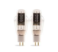 Il tubo a vuoto 300B-G 300B sostituisce il kit amplificatore a tubo WE300B 300B Tubo audio HIFI(2 pcs)