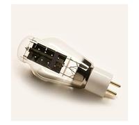 Il tubo a vuoto 300B sostituisce WE300B 300BN E-300B 300B-TII 300B-98 Kit amplificatore audio a tubo HIFI fai da te corrispondente(4 PCS)