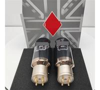 Il tubo a vuoto 805 sostituisce l'amplificatore valvolare elettronico 805 805A 805B 805A-TA E-805A(2pcs Matched Pair)
