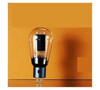 Il tubo elettronico 2A3 sostituisce il tubo a vuoto 2A3C 2A3B con precisione corrispondente(1 pcs)