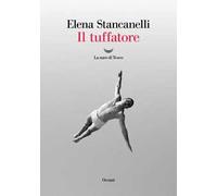 Il tuffatore