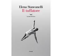 Il tuffatore - Stancanelli Elena