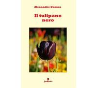 Il tulipano nero