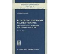 Il valore del precedente nel diritto penale. Uno studio sulla dimensione i...