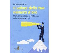 Il valore della tua miniera d'oro. Manuale pratico per l'efficienza delle organizzazioni