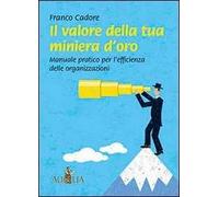 Il valore della tua miniera d'oro. Manuale pratico per l'efficienza delle organizzazioni