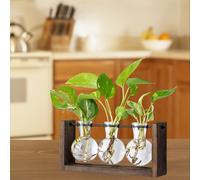 Il vaso per piante Foosibo Flower Rack, contenitore in vetro, è per soggiorni, giardini e , come regalo per appassionati di piante.