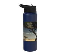 Il vecchio albero nella savana è un simbolo della natura e Stainless Steel Insulated Water Bottle