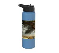 Il vecchio albero nella savana è un simbolo della natura e Stainless Steel Insulated Water Bottle