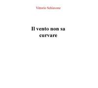 Il vento non sa curvare