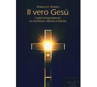 Il vero Gesù. I suoi insegnamenti su ricchezza, libertà e felicità