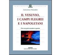 Il Vesuvio, i Campi Flegrei e i napoletani. Che cosa potrà accadere e quan...