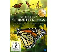 Die Reise des Schmetterlings - Das Geheimnis des Monarchfalters