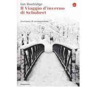 Il viaggio d'inverno di Schubert. Anatomia di un ossessione - Bostridge Ian