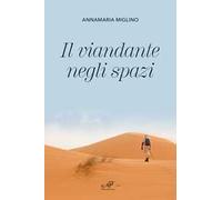 Il viandante negli spazi