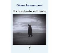 Il viandante solitario