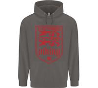 Il Vikings Valknut Simbolo Lions Valhalla Uomo Felpa
