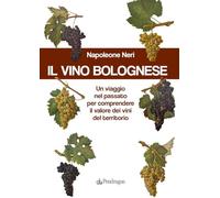 Il vino bolognese. Un viaggio nel passato per comprendere il valore dei vini del territorio