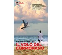 Il volo del cormorano