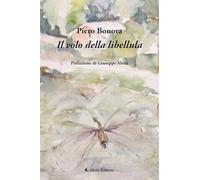 Il volo della libellula