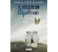 Il volo di un aquilone