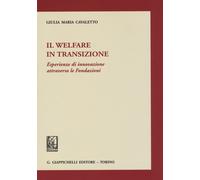 Il welfare in transizione. Esperienze di innovazione attraverso l