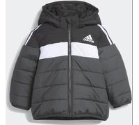 IL6099 Adidas Padded Giacca da bambino isolata in bianco e nero con cappuccio
