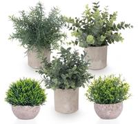 ilauke 5 Pezzi Piante Finte da Interno - Piante Grasse Finte, Eucalipto e Sansevieria Piccole in Plastica - Piantine Artificiali da Interno per Ufficio, Scrivania, Camera da Letto, Cucina o Casa