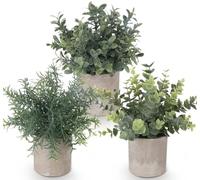ilauke Set di 3 Piante Artificiali in Vaso,Piante di Rosmarino in Plastica di Eucalipto,Mini Piante Artificiali Piante Finte da Interno Esterno per Casa, Giardino, Ufficio, Scrivania, Doccia