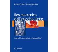 Ileo meccanico dell'intestino tenue: aspetti TC e correlazioni eco-radiografiche