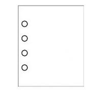 Ilford Schede supplementari 38x48 bianco 10 fogli